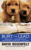 Bury_the_lead