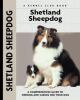 Shetland_sheepdog
