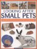 Looking_after_small_pets