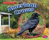American_crows