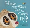 How_many_ways_can_you_catch_a_fly_