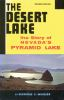 The_desert_lake
