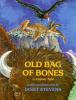 Old_bag_of_bones