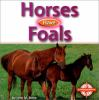 Horses_have_foals