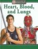 Heart__blood__and_lungs
