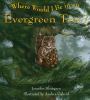 Where_would_I_be_in_an_evergreen_tree_