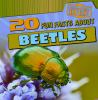 20_fun_facts_about_beetles