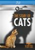 The_story_of_cats