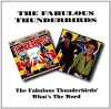 The_Fabulous_Thunderbirds