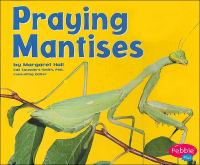 Praying_mantises
