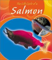 The_life_cycle_of_a_salmon