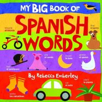 My_big_book_of_Spanish_words
