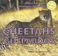 Cheetahs__