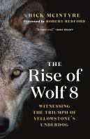Rise_of_wolf_8