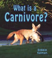 What_is_a_carnivore_