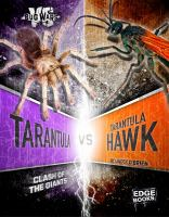 Tarantula_vs__tarantula_hawk