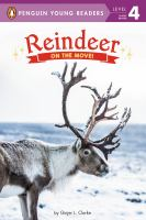 Reindeer_on_the_move_
