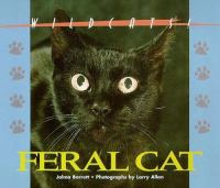 Feral_cat
