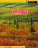 Living_in_the_taiga