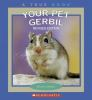Your_pet_gerbil