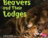 Beavers_and_their_lodges