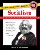 Politically_incorrect_guide_to_socialism