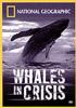 Whales_in_crisis