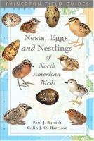 A_guide_to_the_nests__eggs__and_nestlings_of_North_American_birds