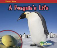 A_penguin_s_life
