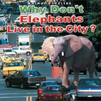 Why_don_t_elephants_live_in_the_city_