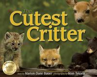 The_cutest_critter