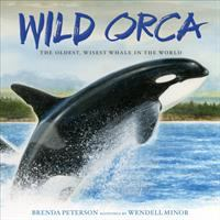 Wild_orca