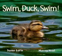 Swim__duck__swim_