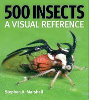 500_insects