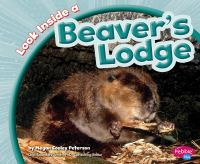 Look_inside_a_beaver_s_lodge