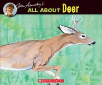 All_about_deer